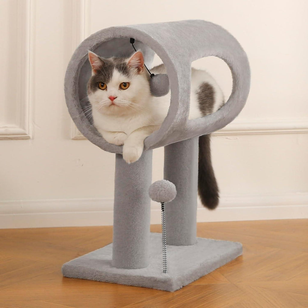 Cat resting in the tunnel
