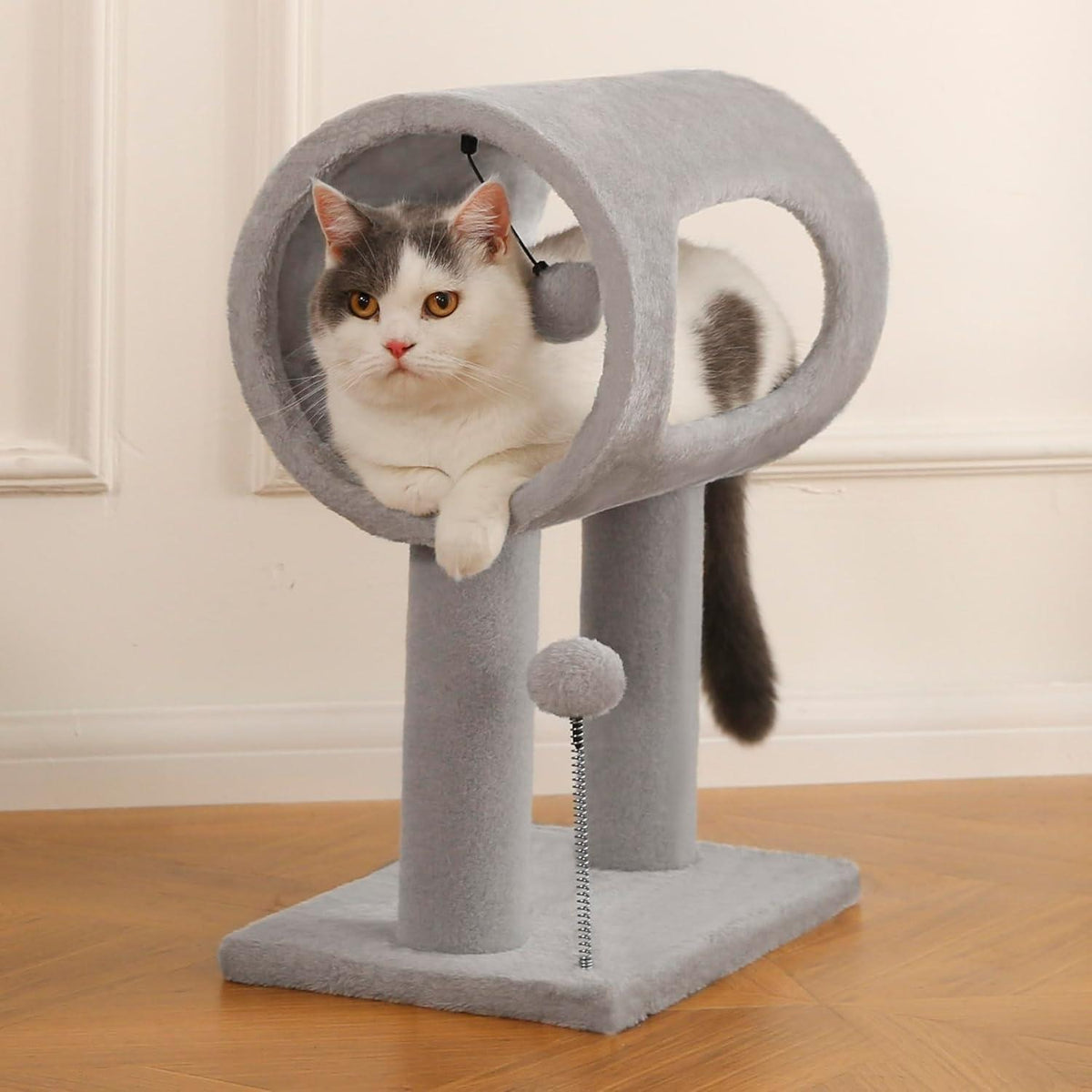 Cat resting in the tunnel