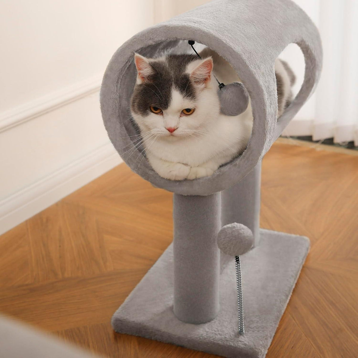 Cat lounging in the tunnel