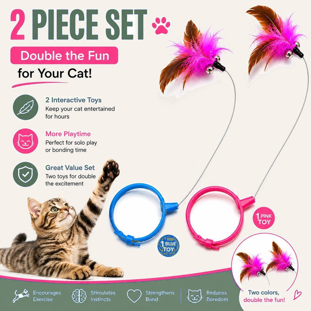 Feather teaser toy 2-piece set