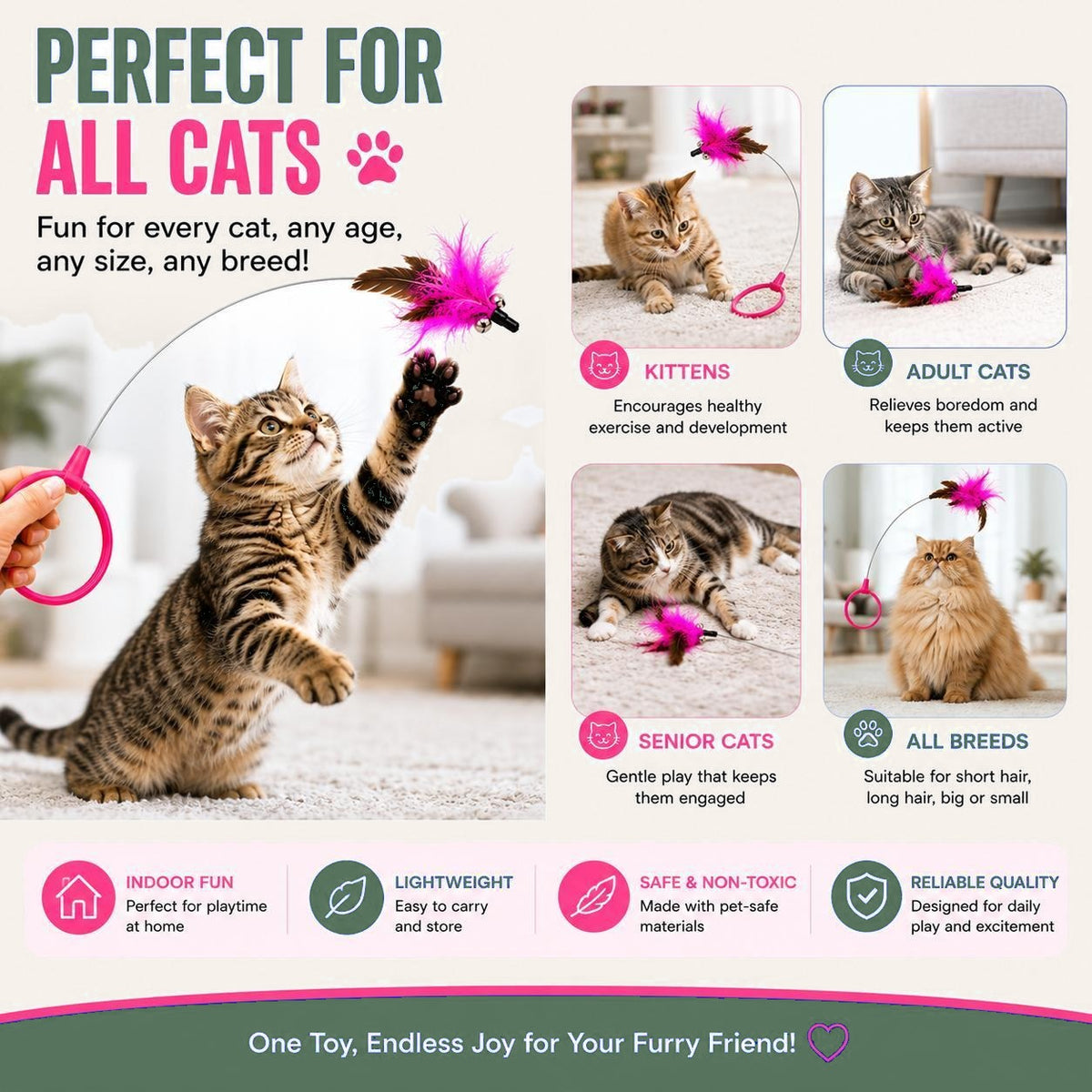 Perfect for all cats