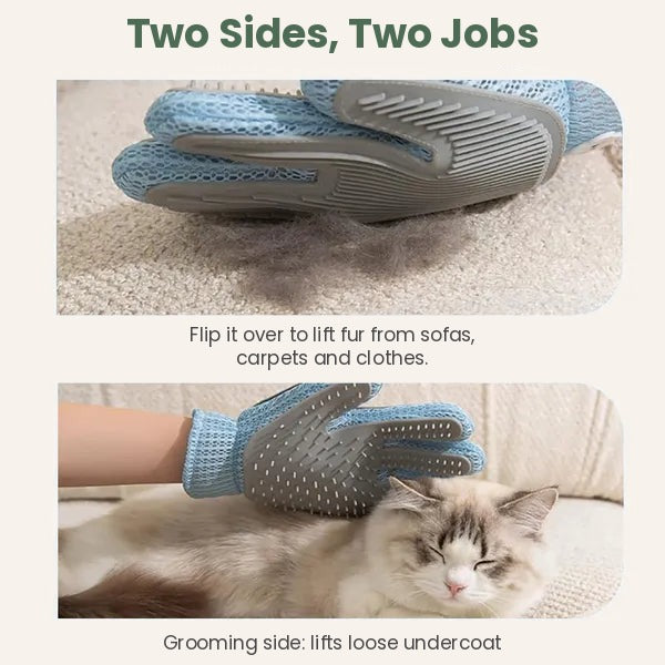 Two sides, two jobs