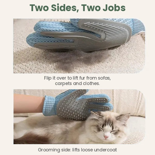 Two sides, two jobs