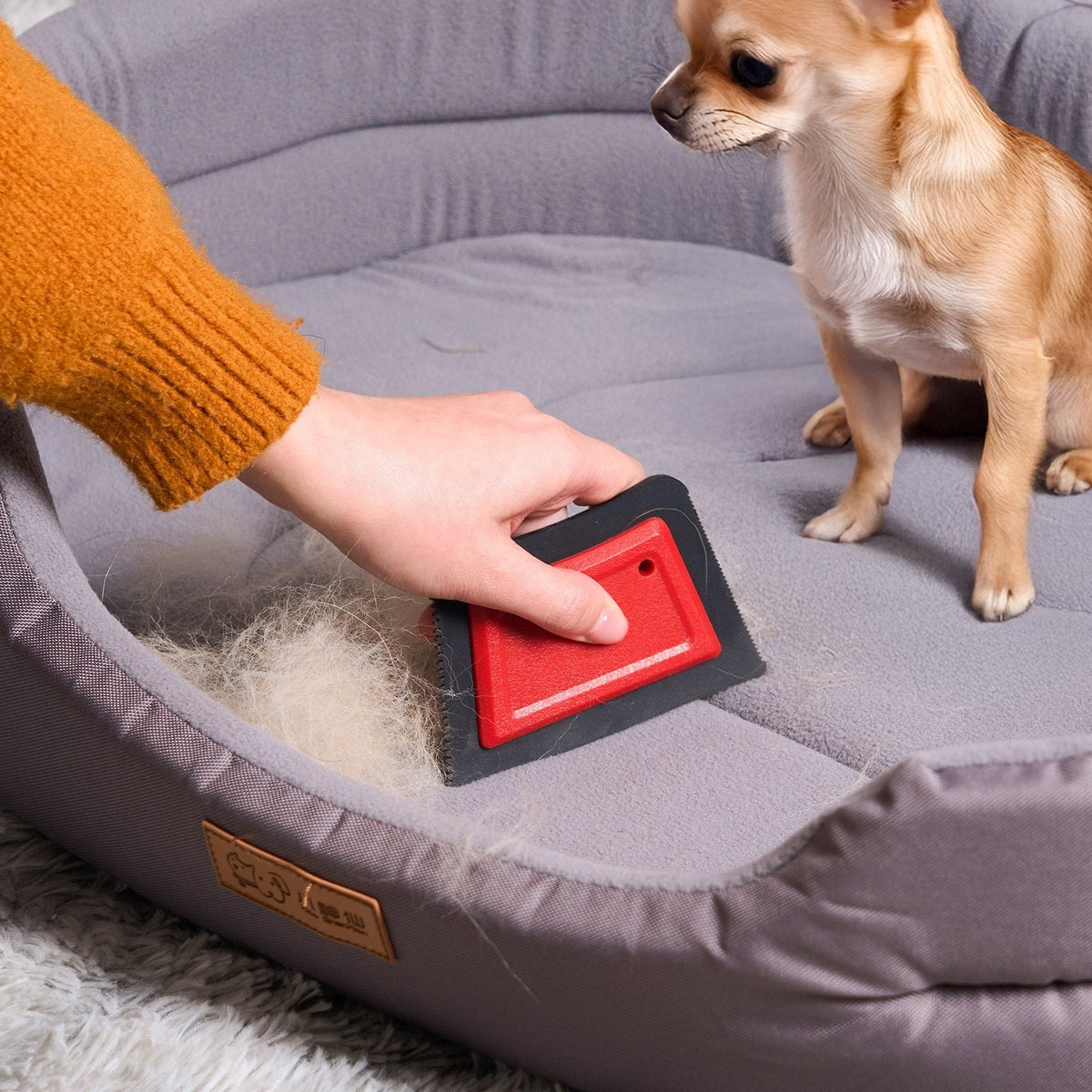Removing pet hair from a dog bed