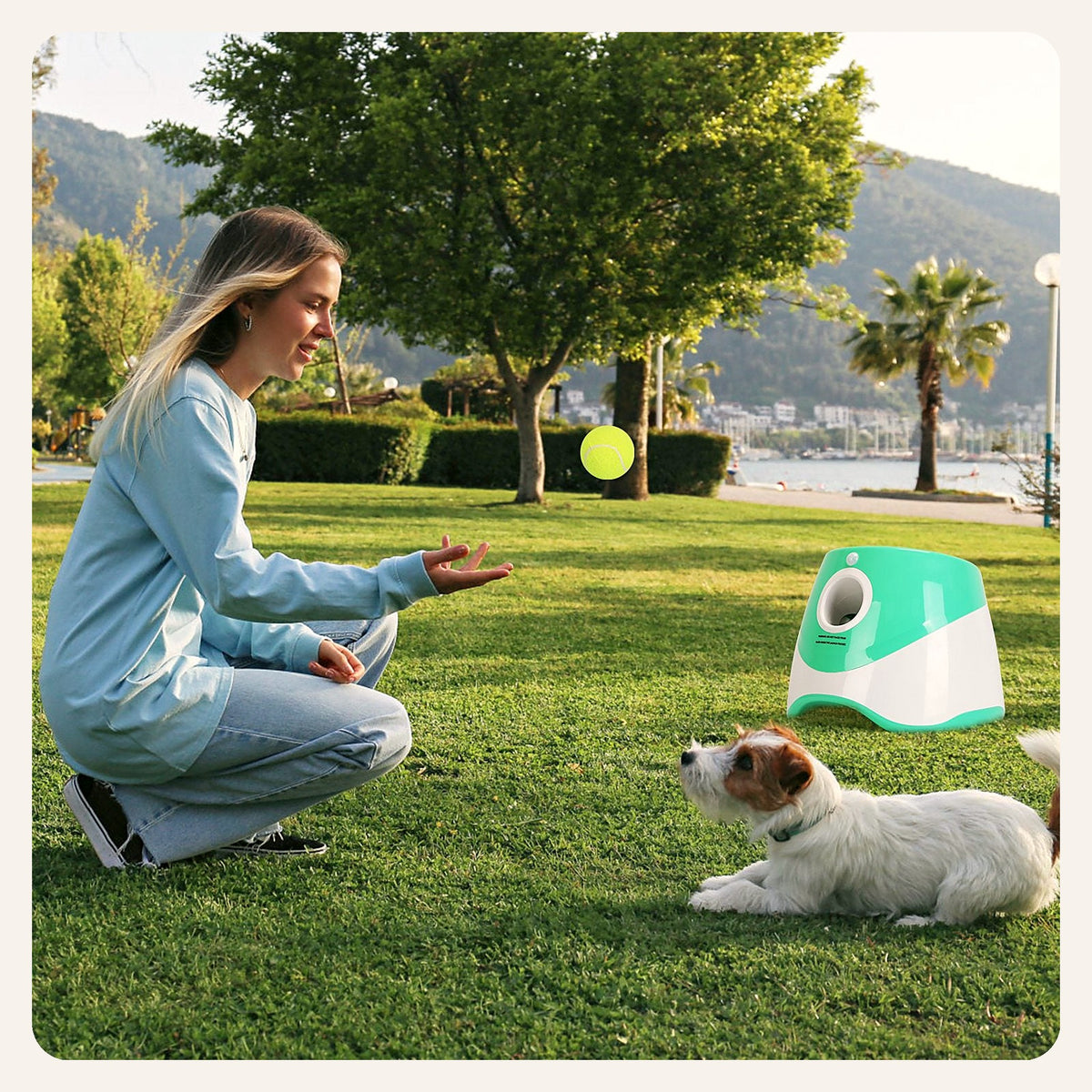 Dog playing fetch with the automatic ball launcher