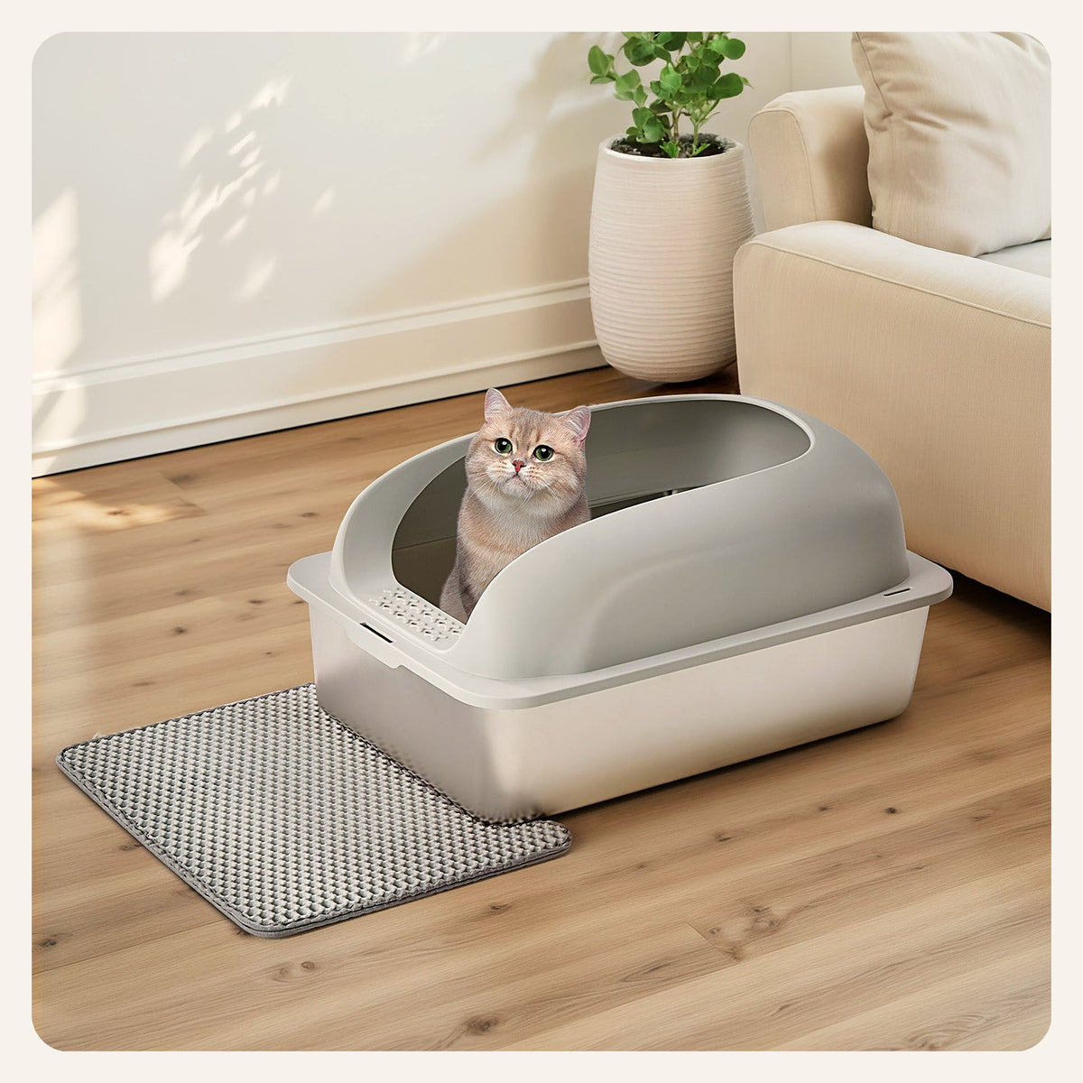 Cat in the stainless steel litter box in a living room