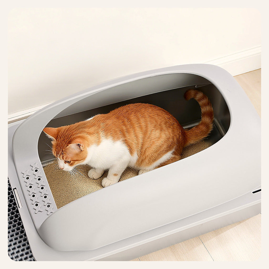 Cat using the covered litter box