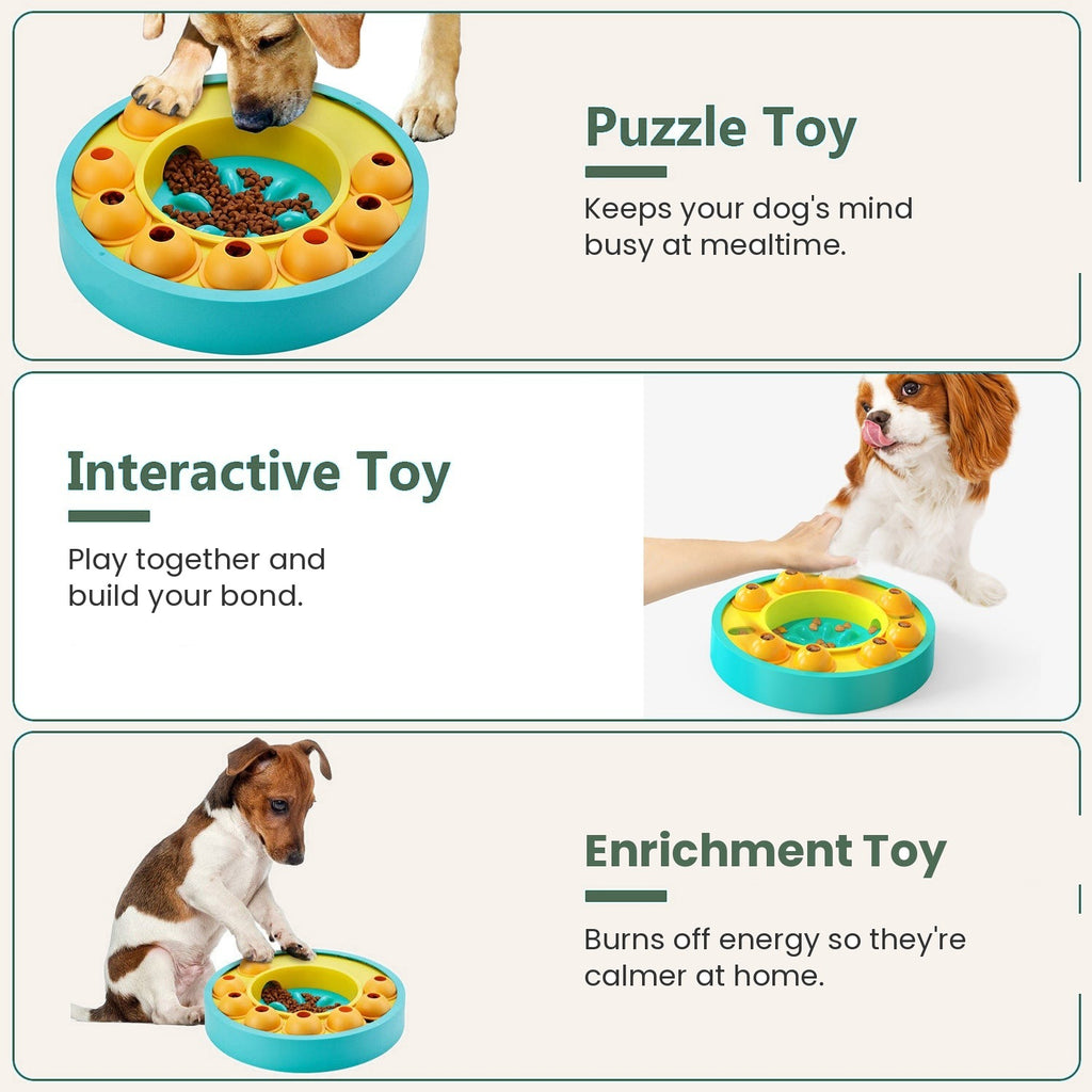 Puzzle, interactive and enrichment toy