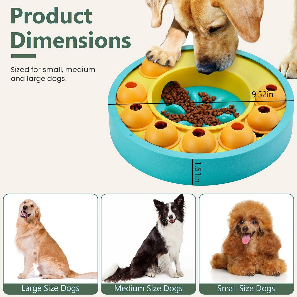 Product dimensions