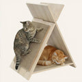 Cat scratcher house with lounge