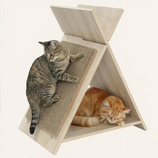 Cat scratcher house with lounge