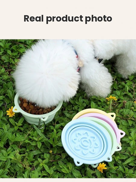 Travel bowls in blue, pink and green