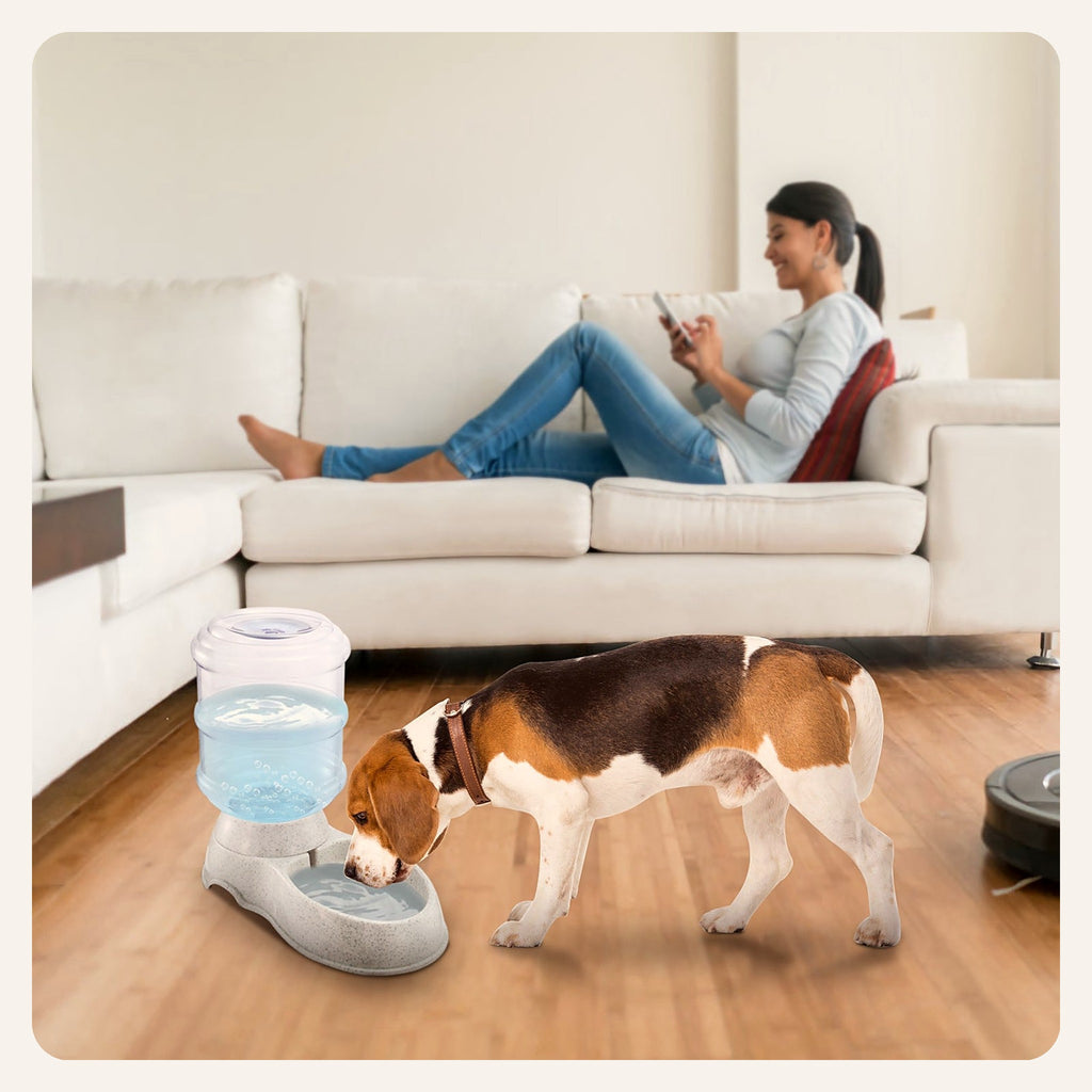 Dog drinking from the water dispenser at home
